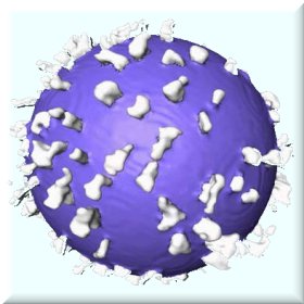The HIV virus (Credit: Kenneth Roux)
